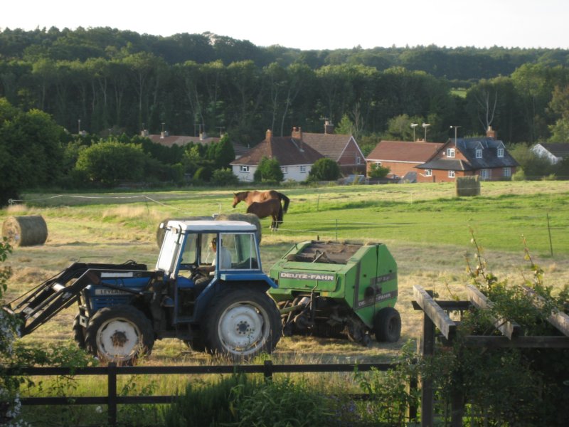 balingupthehay.jpg