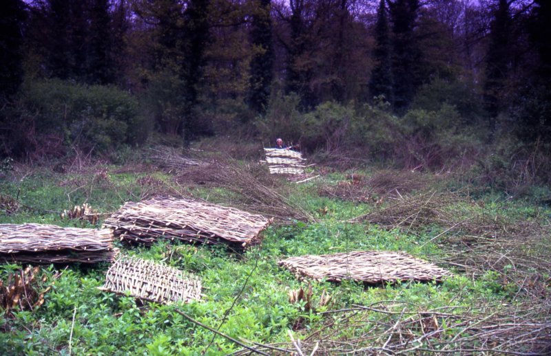 theharvestofthecopse.jpg